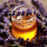 lavender blossoms and essential oil